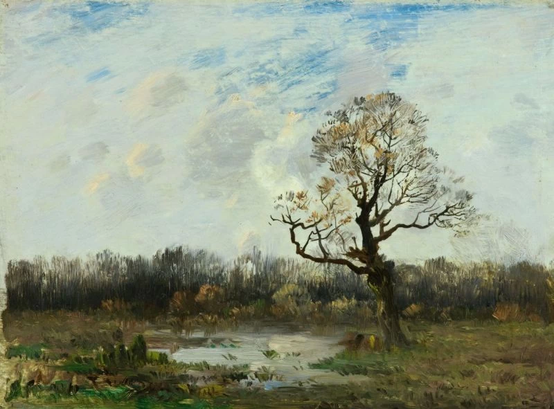 Un albero nella brughiera vicino a Fontainebleau